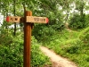 signpost