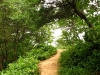 trail
