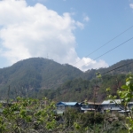 OLYMPUS DIGITAL CAMERA