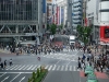 Shibuya Crossing