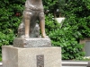 Hachiko