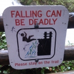 Falling can be deadly