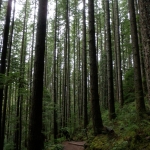 The way back down